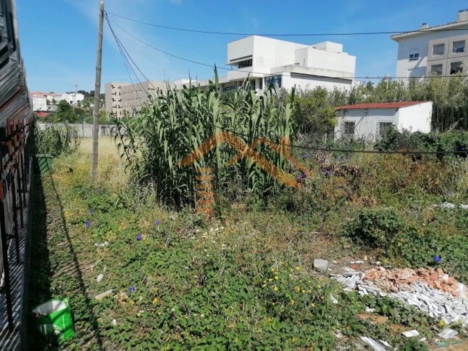Terreno para Venda em Ajuda Foto 7