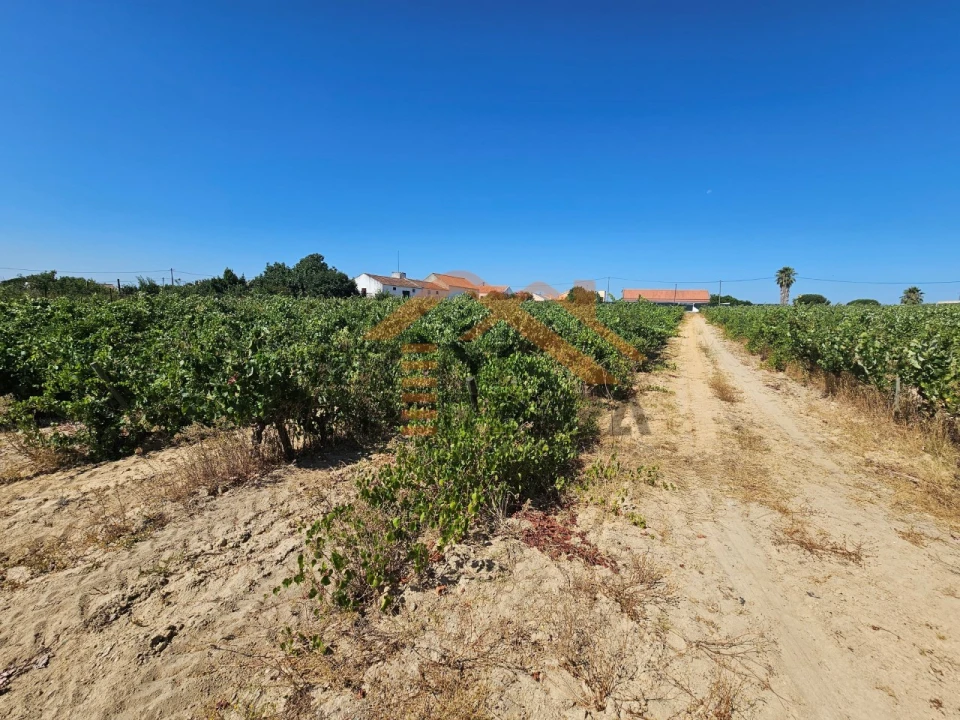 Terreno para Venda em Poceirão e Marateca Foto 5