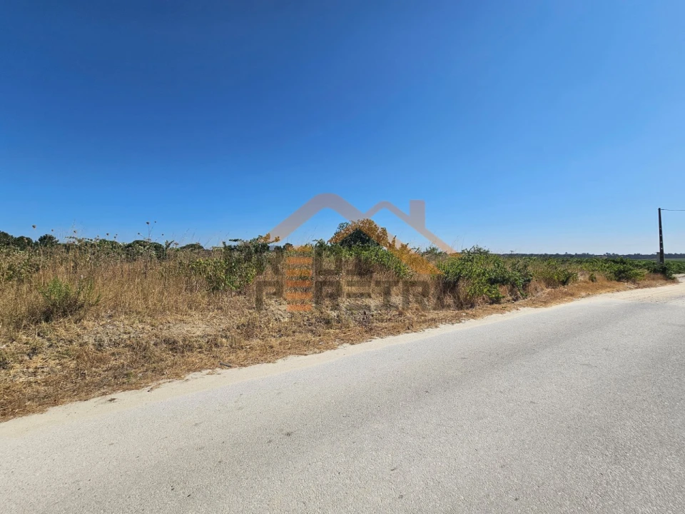 Terreno para Venda em Poceirão e Marateca Foto 16