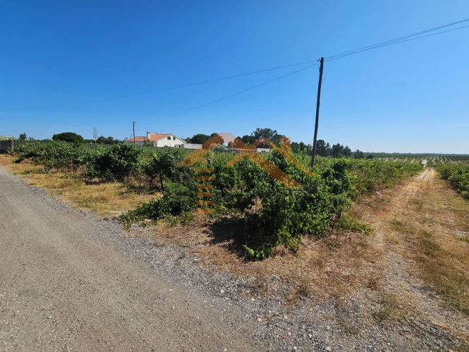 Terreno para Venda em Poceirão e Marateca Foto 9