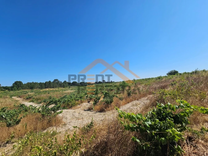 Terreno para Venda em Poceirão e Marateca Foto 18