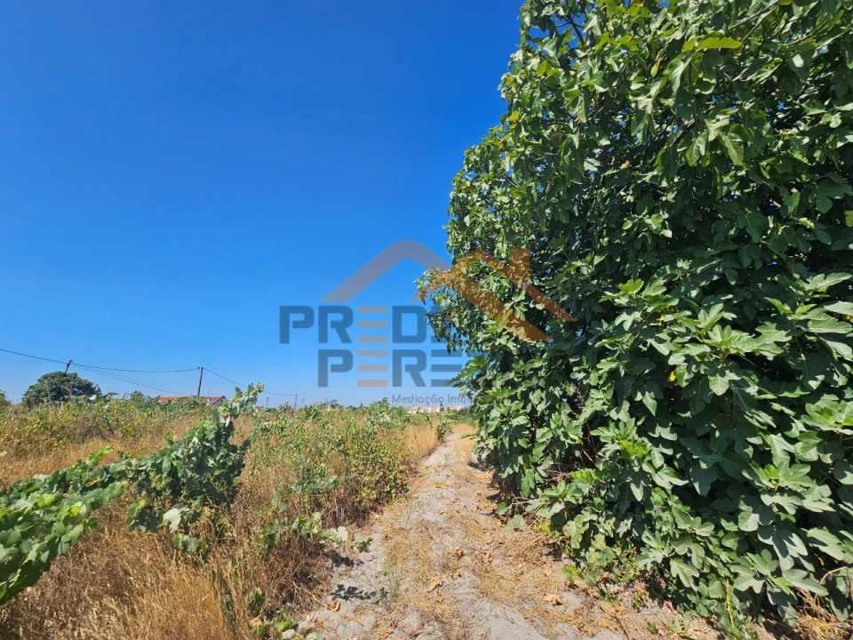 Terreno para Venda em Poceirão e Marateca Foto 15