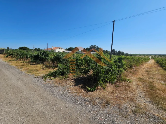 Terreno para Venda em Poceirão e Marateca Foto 5