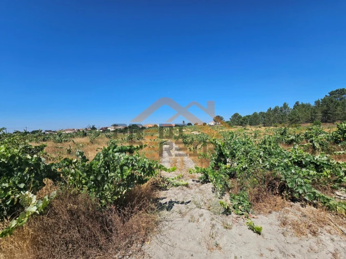 Terreno para Venda em Poceirão e Marateca Foto 14