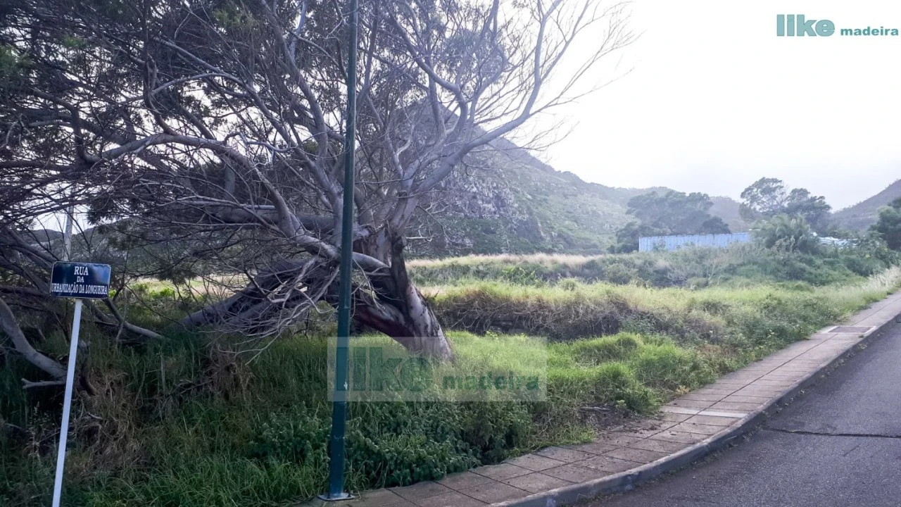 Terreno para Venda em Caniçal Foto 6