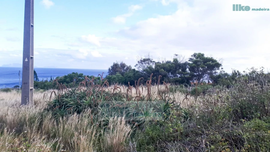 Terreno para Venda em Caniçal Foto 4