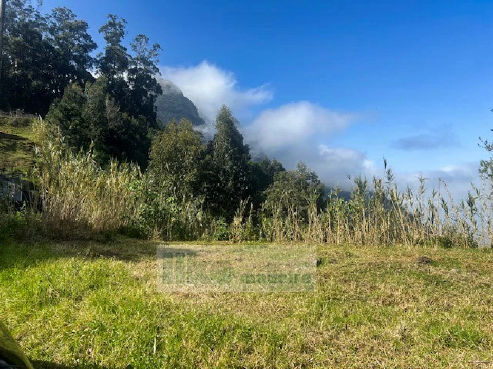 Terreno para Venda em São Vicente Foto 6