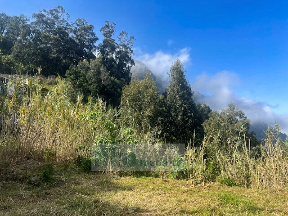 Terreno para Venda em São Vicente Foto 7