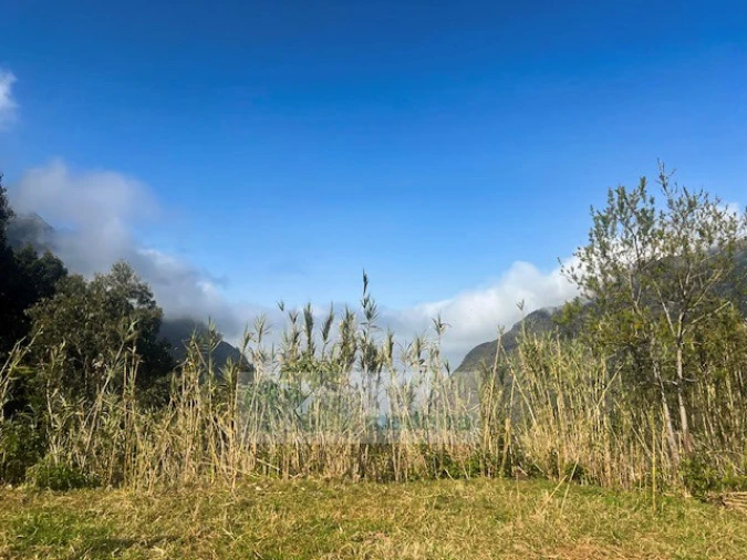 Terreno para Venda em São Vicente Foto 1