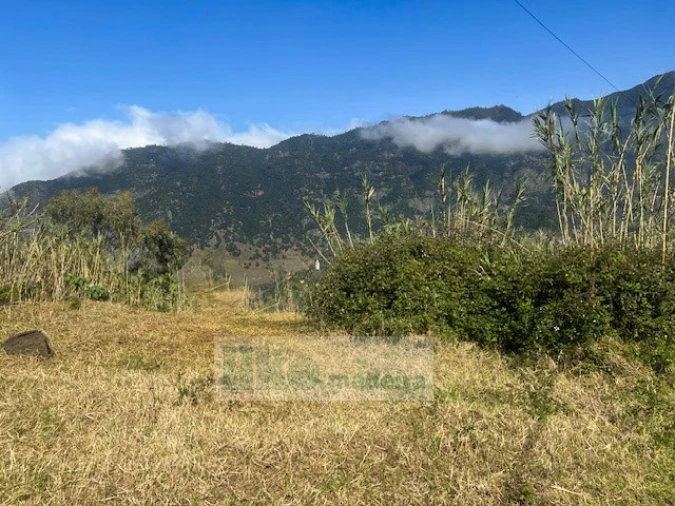 Terreno para Venda em São Vicente Foto 3