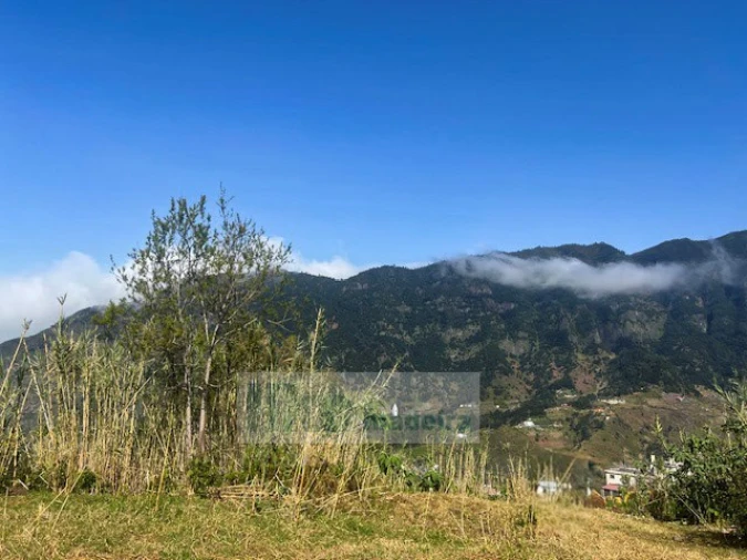 Terreno para Venda em São Vicente Foto 4