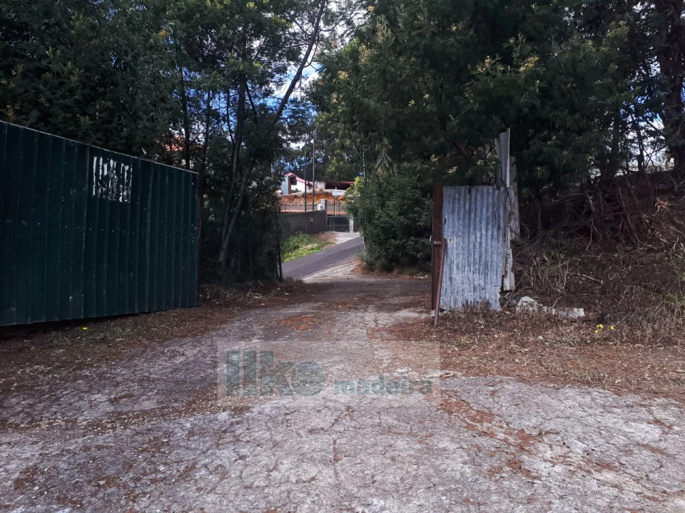 Terreno para Venda em Santa Cruz Foto 4