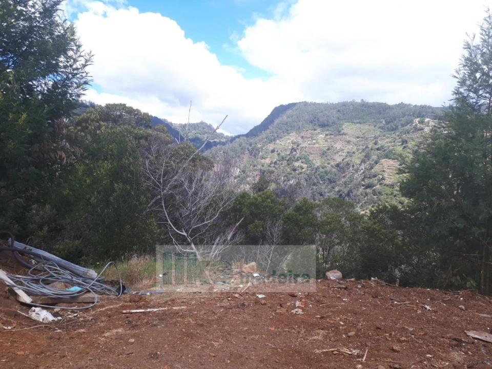 Terreno para Venda em Santa Cruz Foto 17