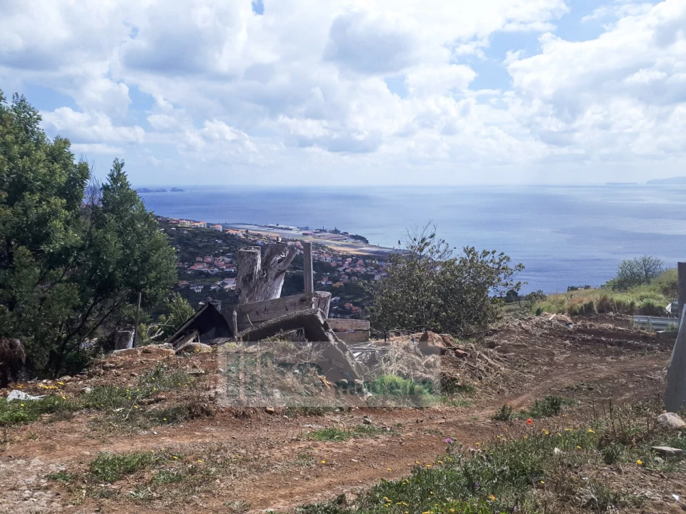Terreno para Venda em Santa Cruz Foto 20