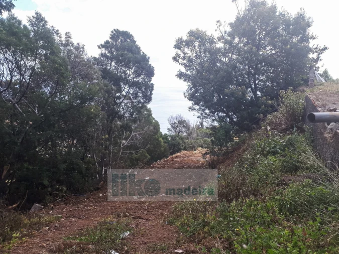 Terreno para Venda em Santa Cruz Foto 10