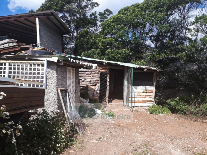 Terreno para Venda em Santa Cruz Foto 11