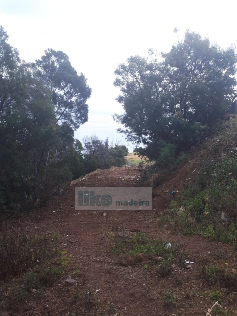 Terreno para Venda em Santa Cruz Foto 12