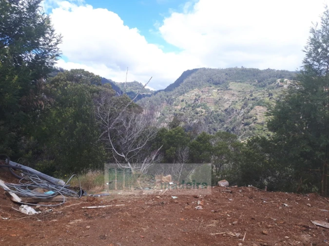 Terreno para Venda em Santa Cruz Foto 17