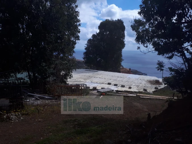 Terreno para Venda em Santa Cruz Foto 18