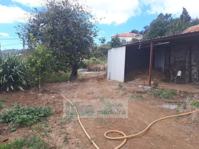 Terreno para Venda em Santa Cruz Foto 23