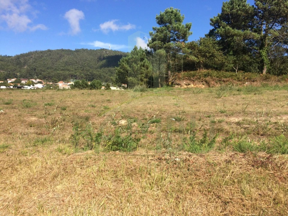 Terreno para Venda em Carreço Foto 1
