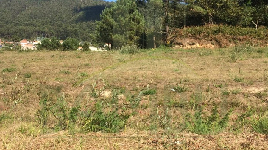Terreno para Venda em Carreço