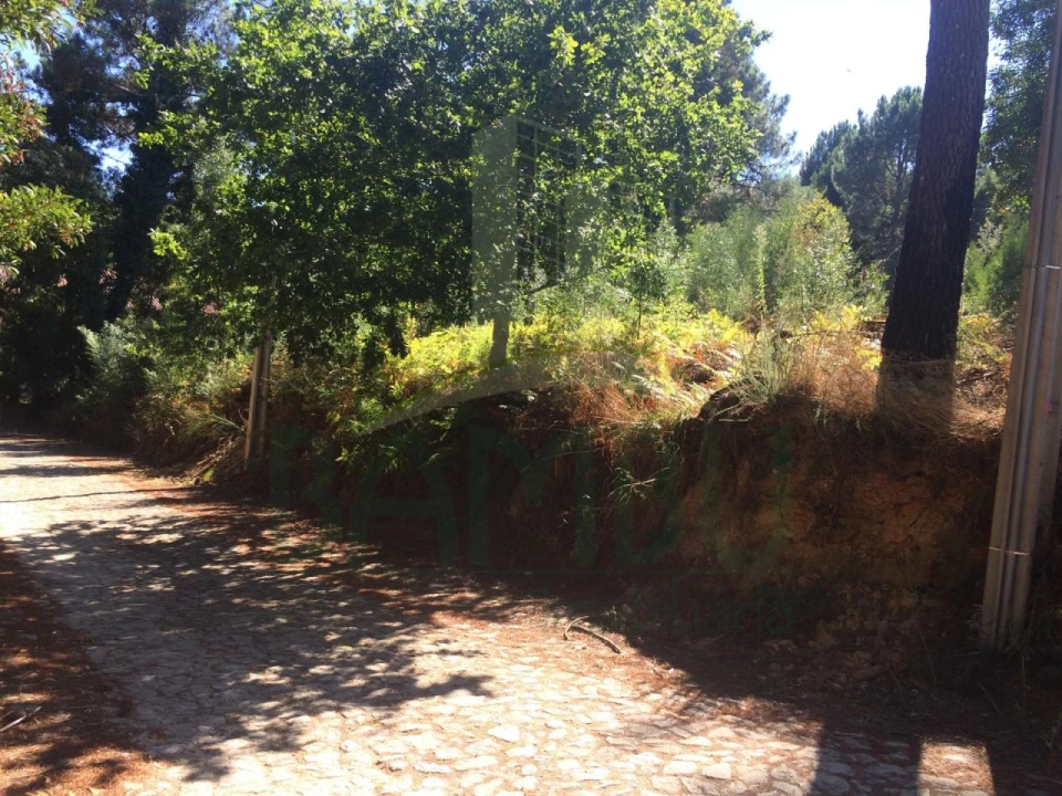 Terreno para Venda em Venade e Azevedo Foto 3