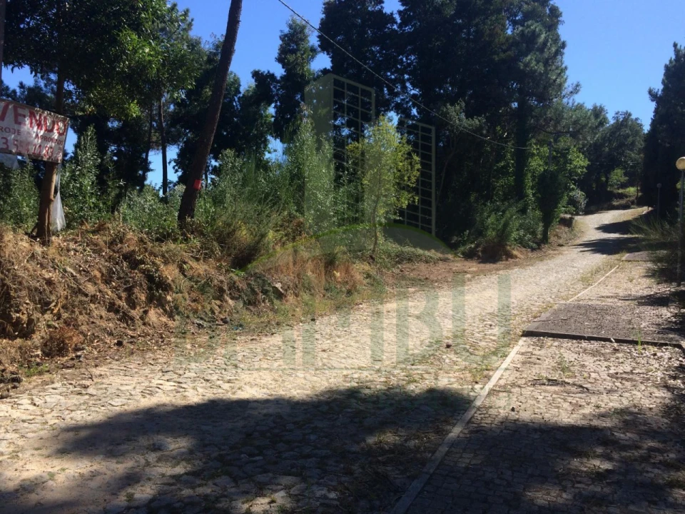 Terreno para Venda em Venade e Azevedo Foto 6