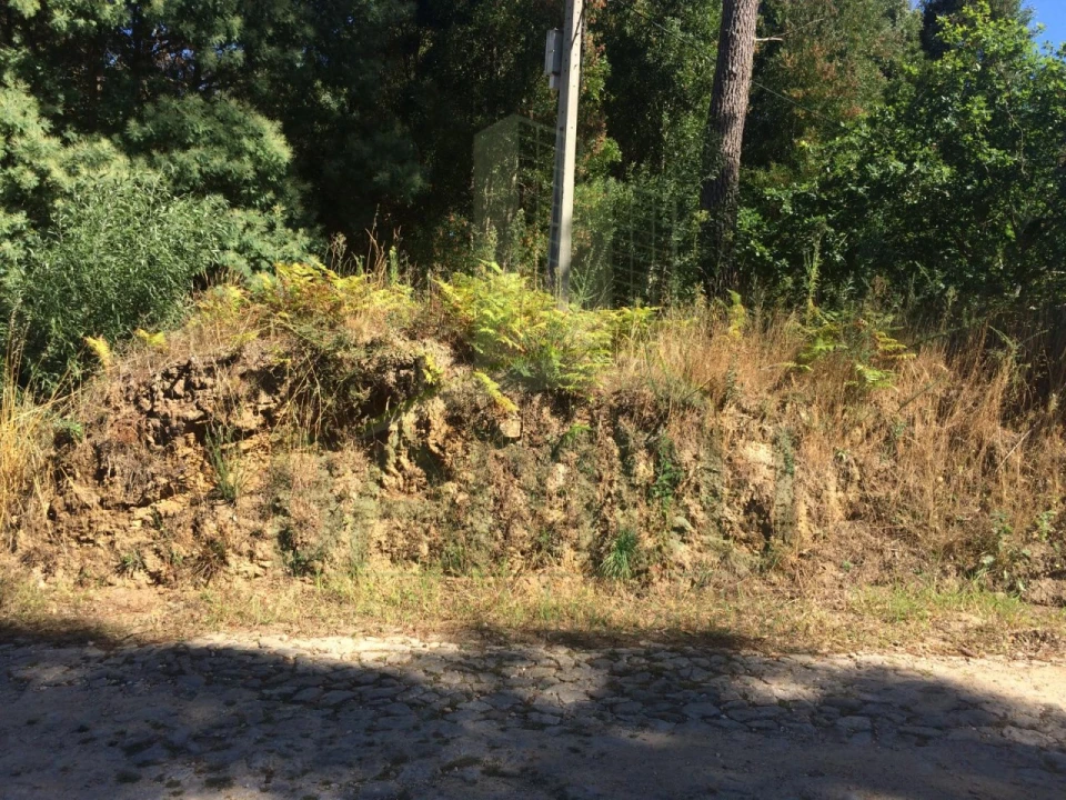 Terreno para Venda em Venade e Azevedo Foto 7