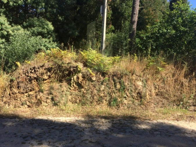 Terreno para Venda em Venade e Azevedo Foto 7