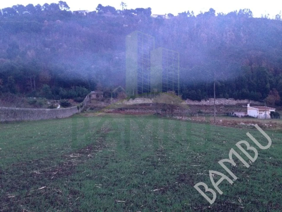 Terreno para Venda em Moledo e Cristelo Foto 2