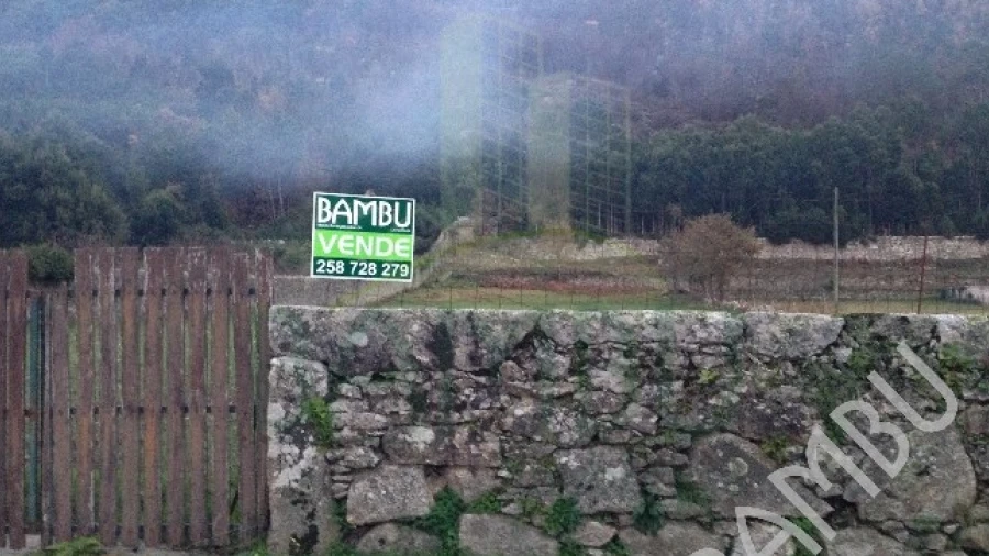 Terreno para Venda em Moledo e Cristelo