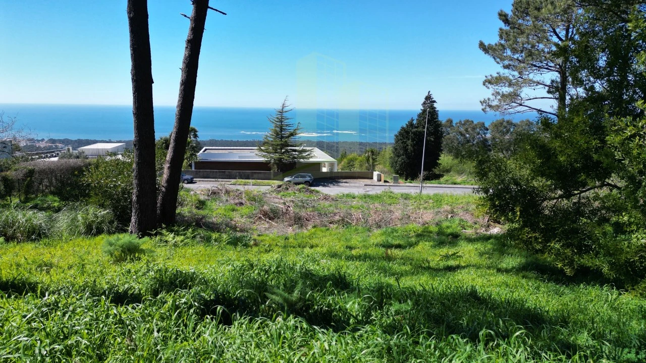 Terreno para Venda em Moledo e Cristelo Foto 1