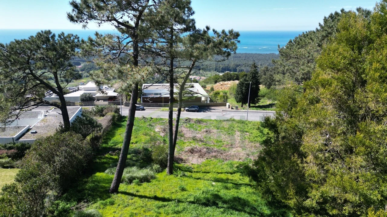 Terreno para Venda em Moledo e Cristelo Foto 9