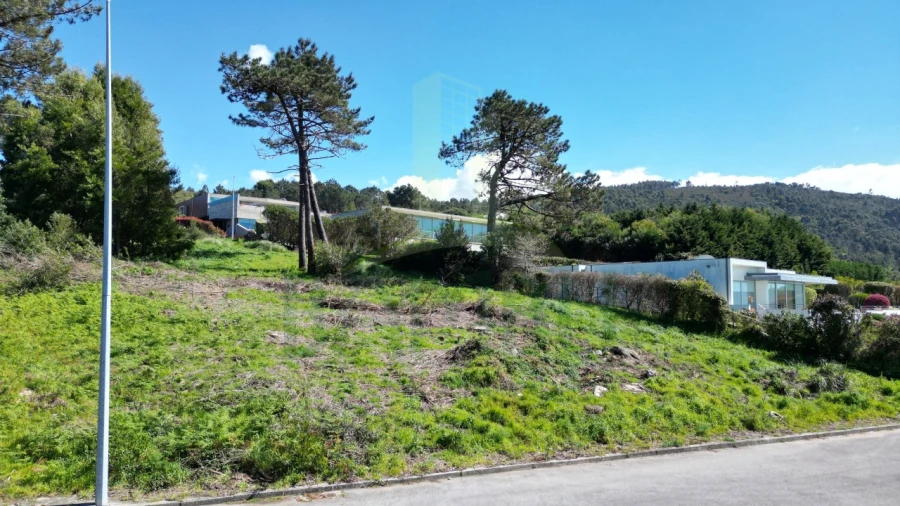 Terreno para Venda em Moledo e Cristelo Foto 14