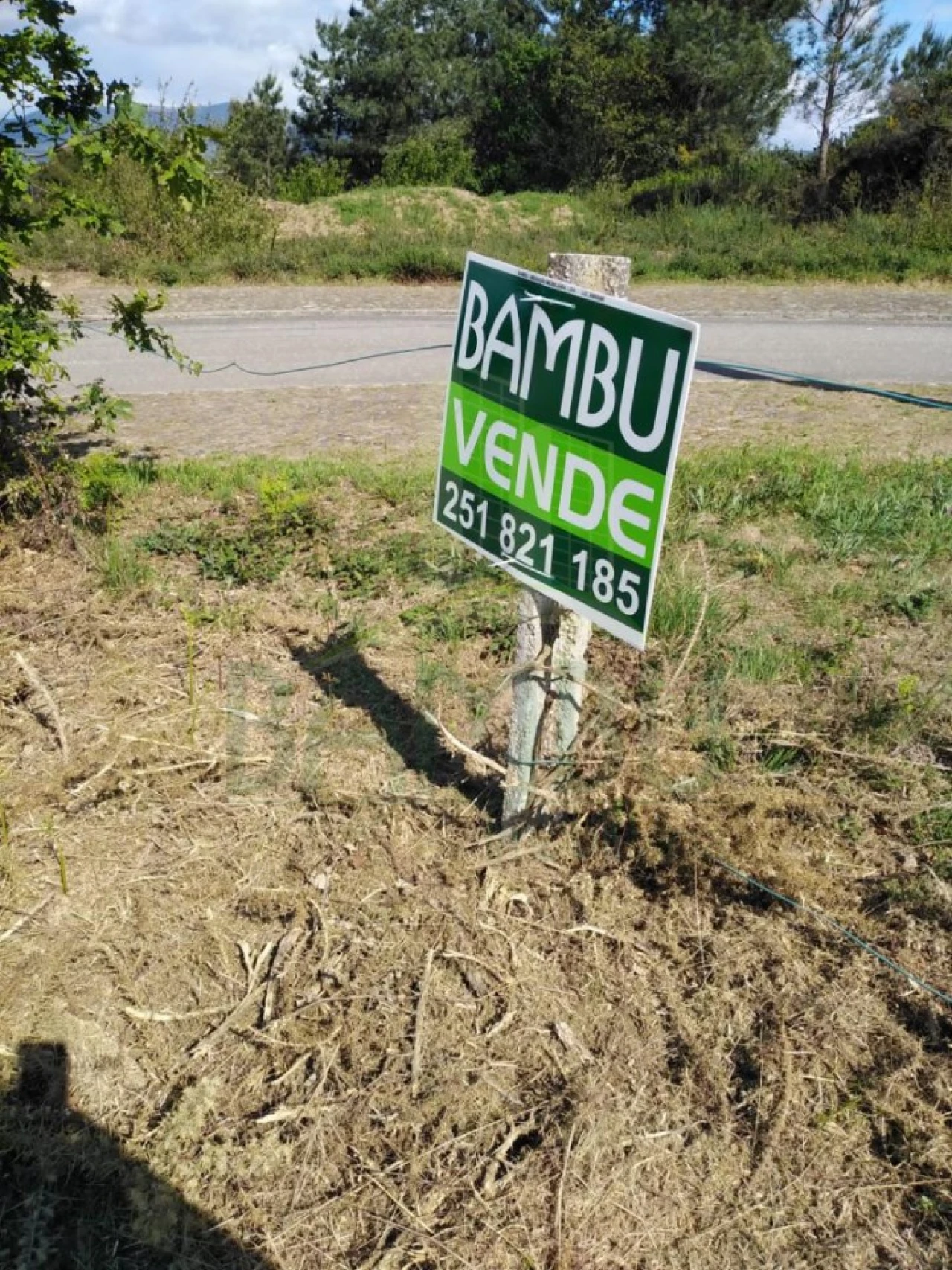 Terreno para Venda em Reboreda e Nogueira Foto 9