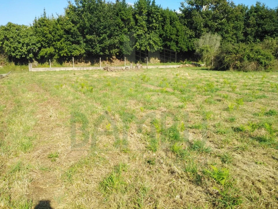 Terreno para Venda em Cornes Foto 3