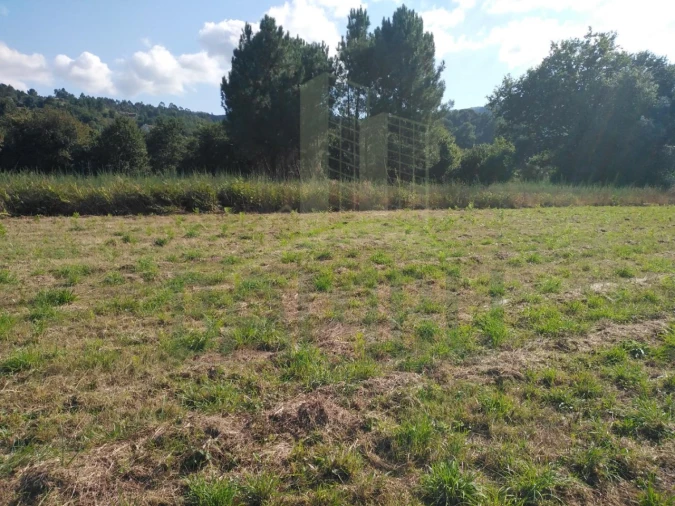 Terreno para Venda em Cornes Foto 6