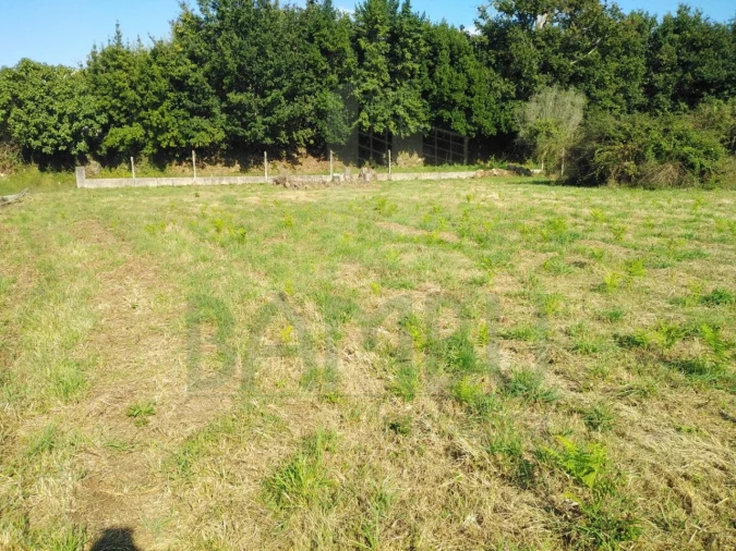 Terreno para Venda em Cornes Foto 3