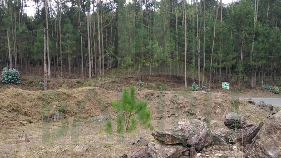 Terreno para Venda em Sopo