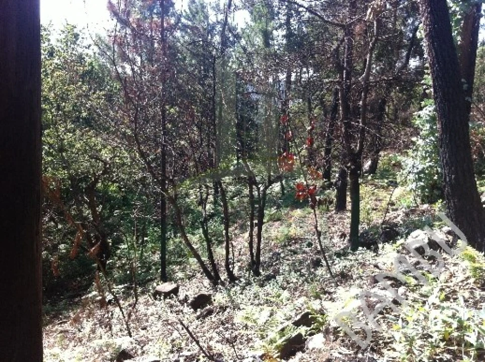 Terreno para Venda em Venade e Azevedo Foto 6