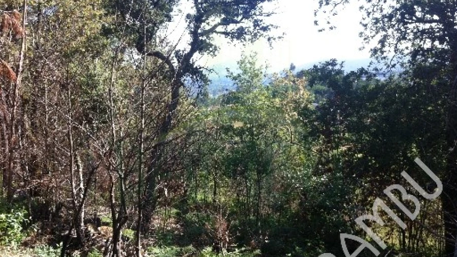 Terreno para Venda em Venade e Azevedo