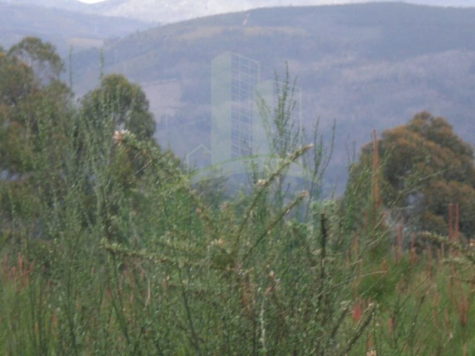 Terreno para Venda em Seixas Foto 3