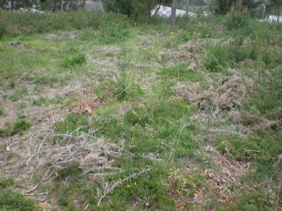 Terreno para Venda em Seixas Foto 4