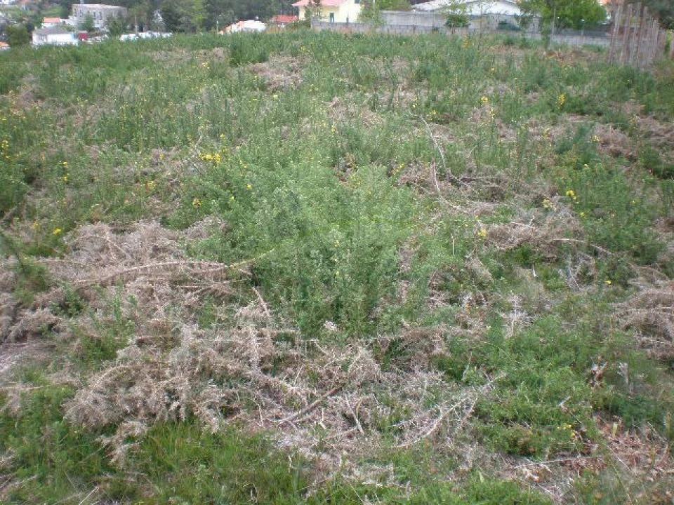 Terreno para Venda em Seixas Foto 5