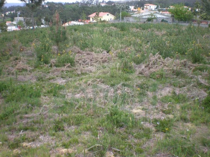 Terreno para Venda em Seixas Foto 2