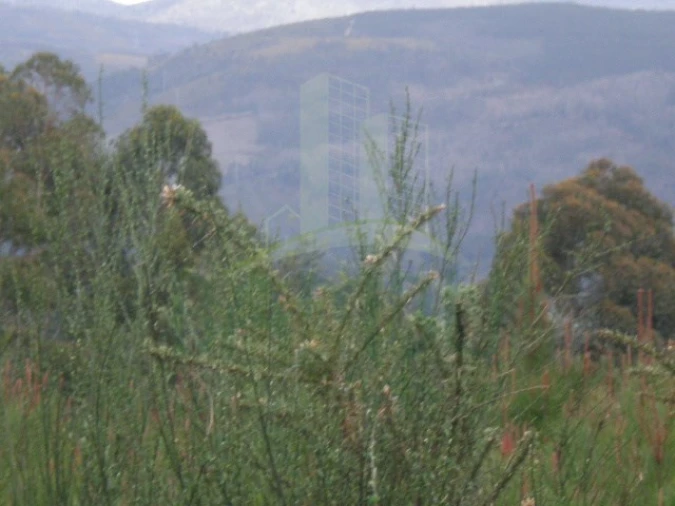 Terreno para Venda em Seixas Foto 3