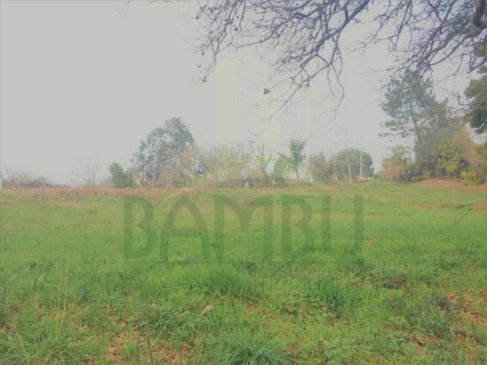 Terreno para Venda em Seixas Foto 3