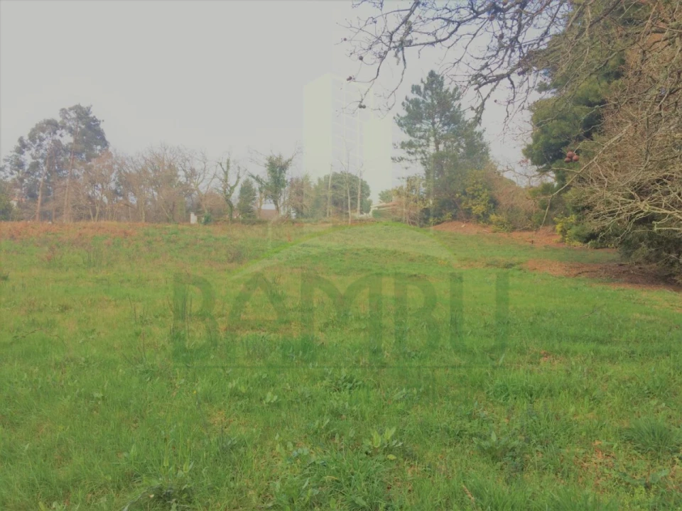Terreno para Venda em Seixas Foto 5