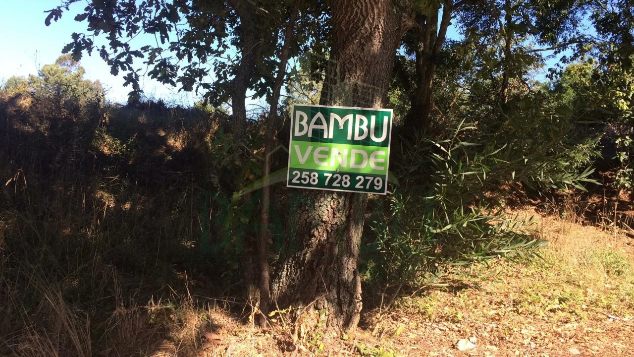 Terreno para Venda em Seixas Foto 8